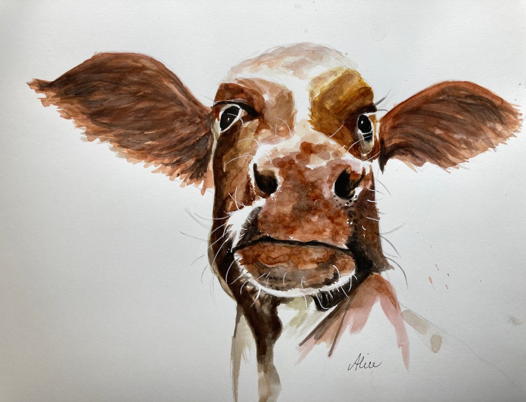 How, Now, Alice Healy