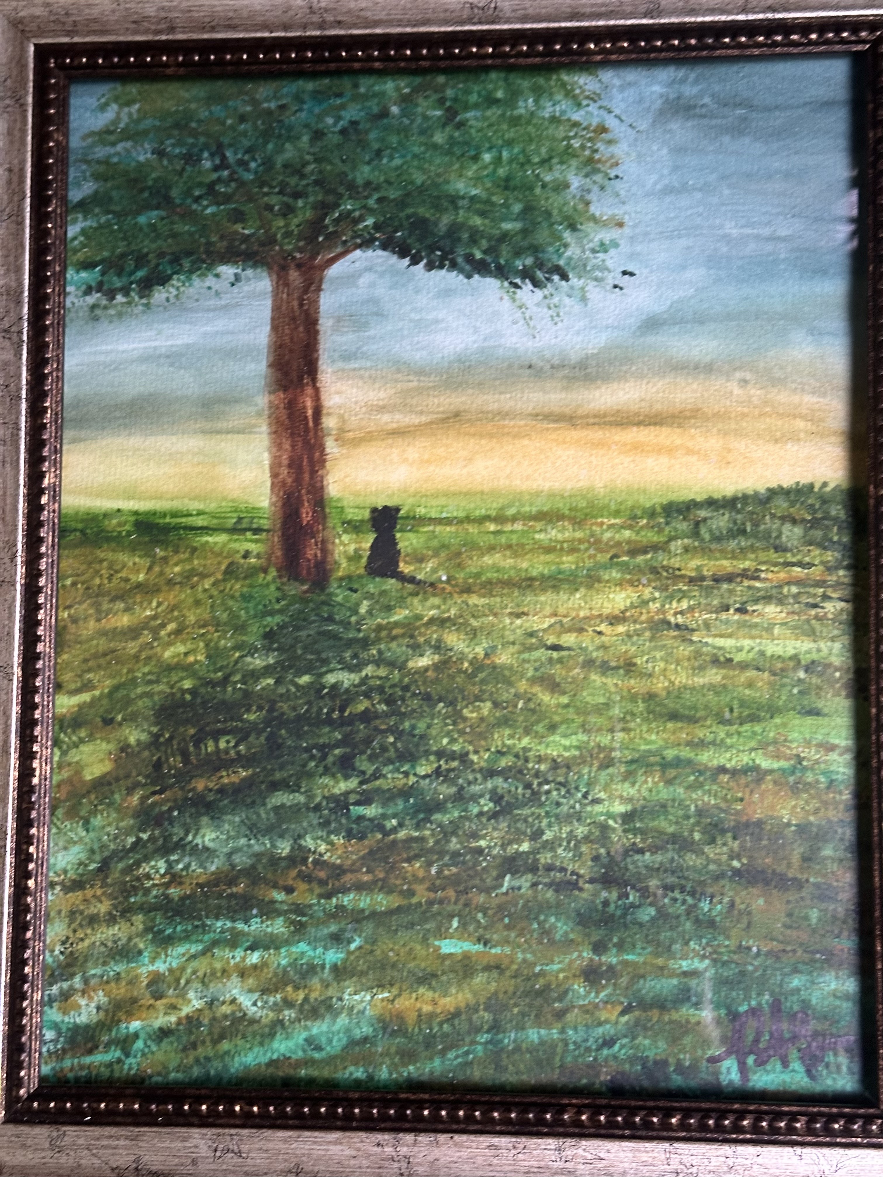 tree, grass, cat, sunrise