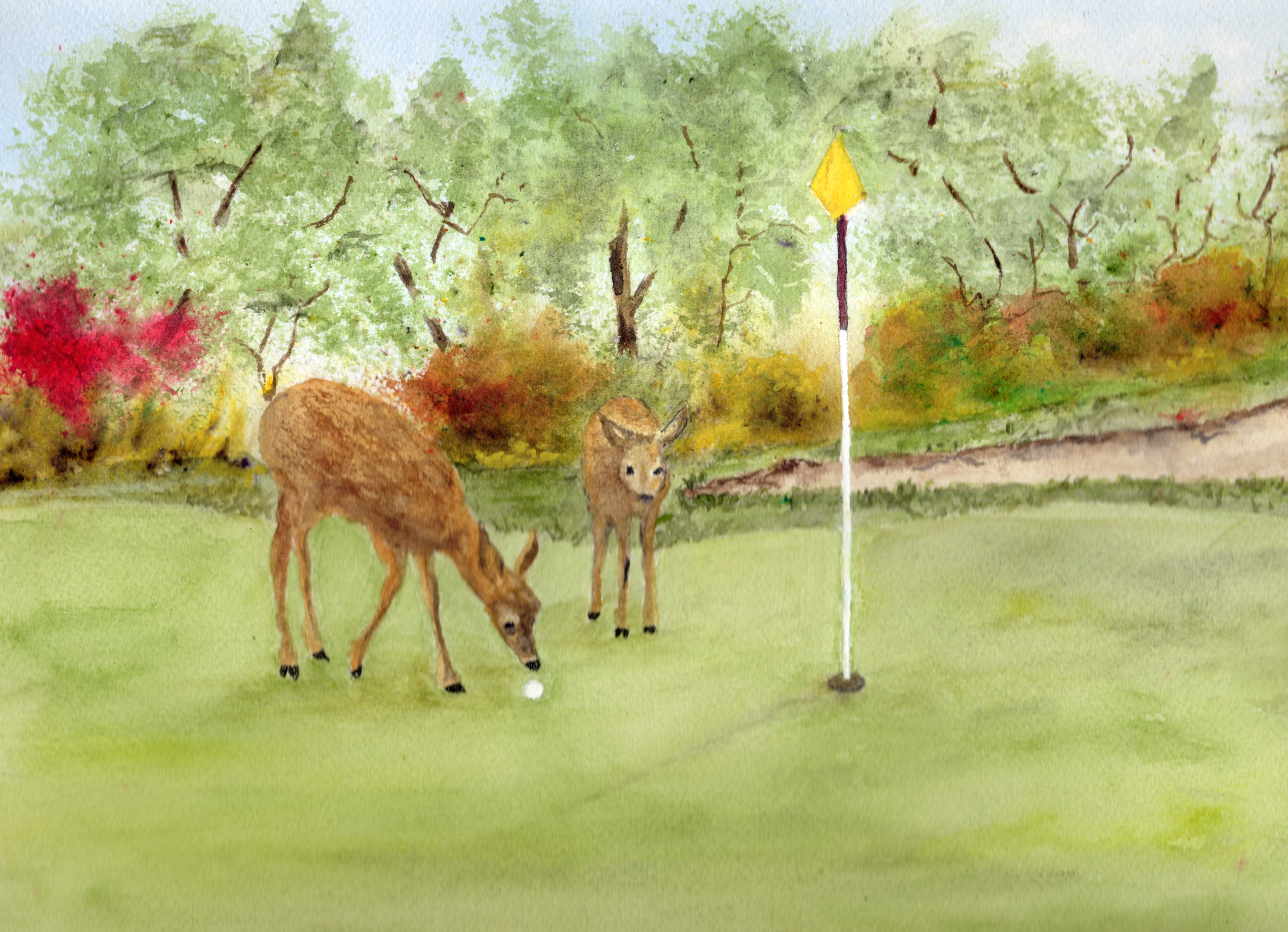golf, deer, ball, grass, trees