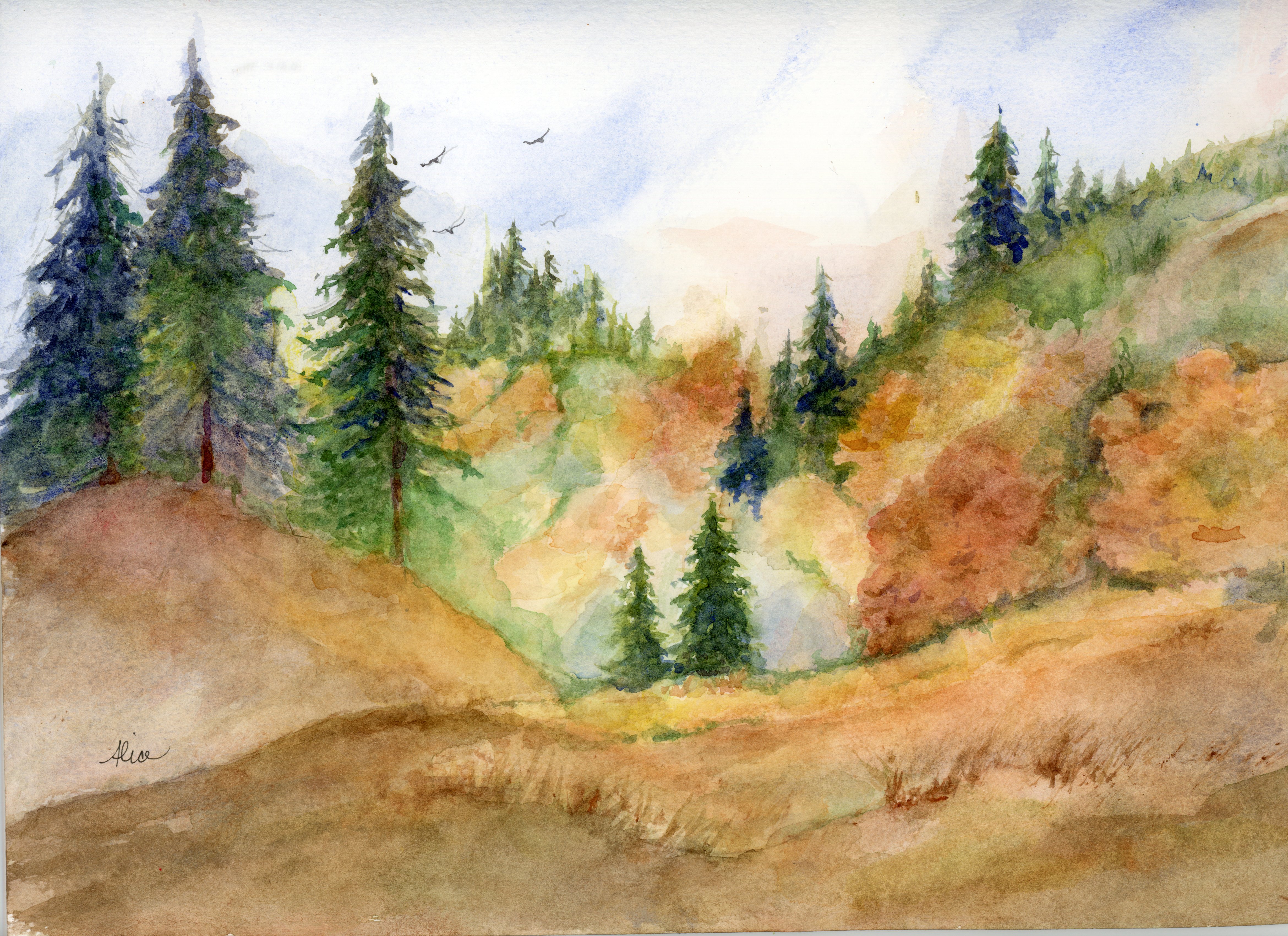 Alice Healy, landscape, trees, hills