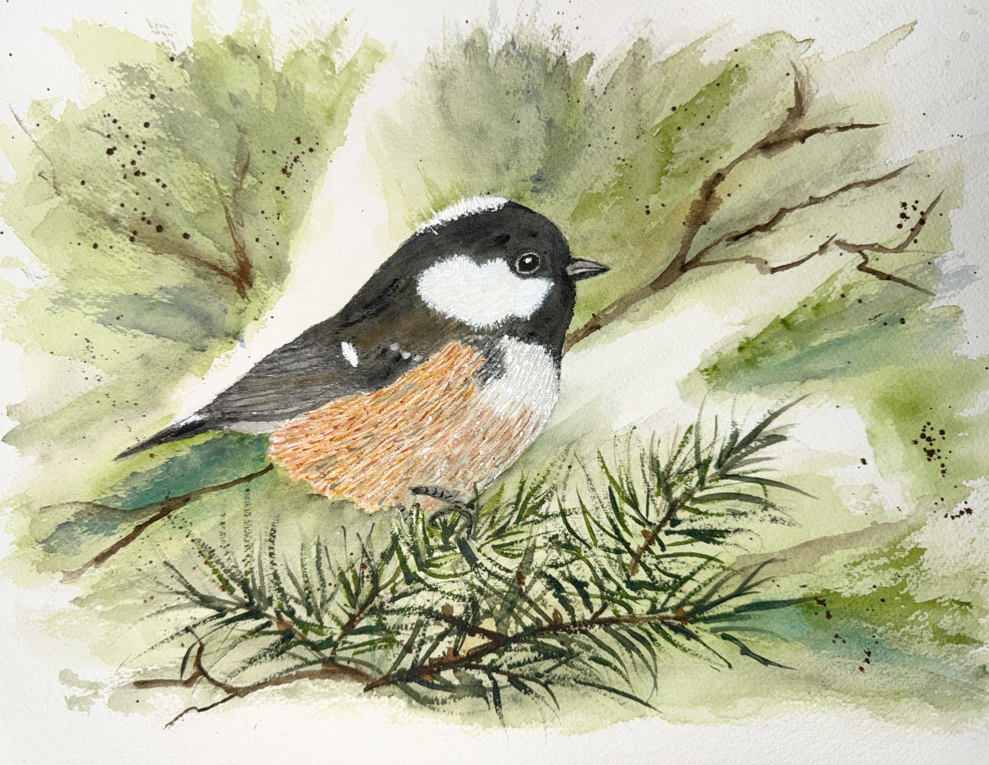 bird, pine,