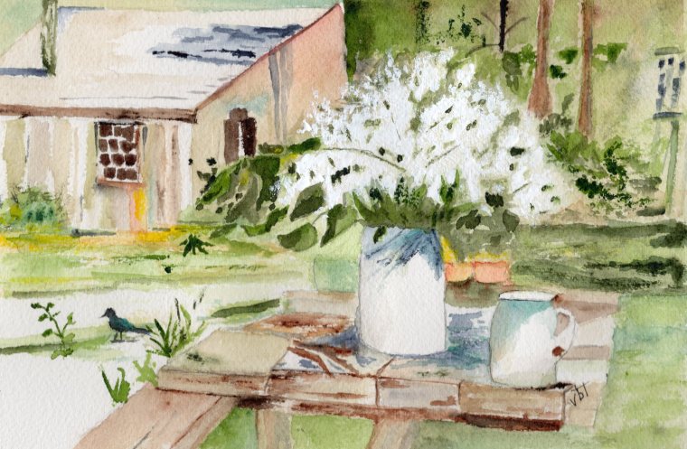 Flowers, shadows, barn, coffee